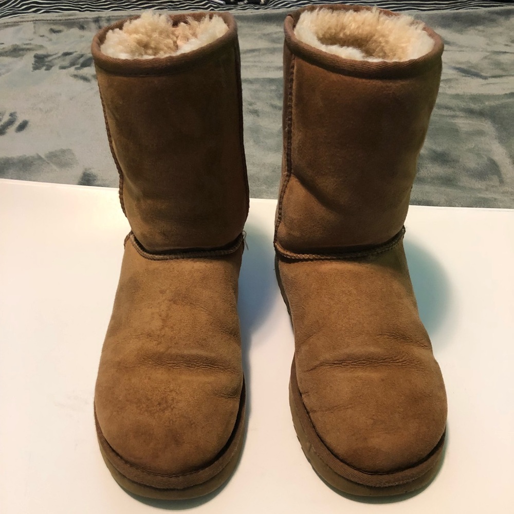 Classic Short Uggs - Chestnut